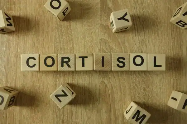 Image saying "Cortisol" and how stress Aldershot impacts your wellbeing and bodies shape
